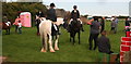 Kane Farm Stables near Heckington