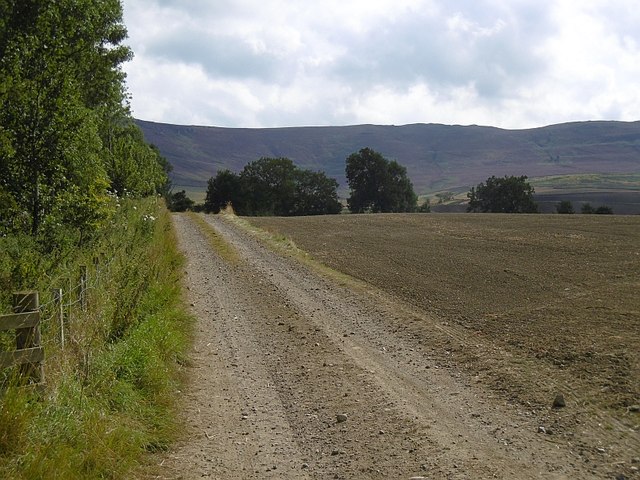 Farm track, Little Tosson