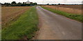 Carterplot Road and the Car Dike