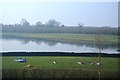 Lake in the Ribble Valley