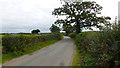 Lane towards Shavington