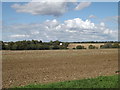 Fields looking towards Derrybrook Farm