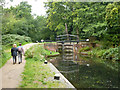 Bottom Lock, Basingstoke Canal