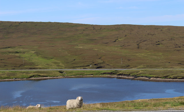 Near the top of Basta Voe © Des Blenkinsopp :: Geograph Britain and Ireland