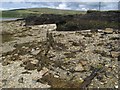 L6352 : Eroding peat with stumps by Jonathan Wilkins