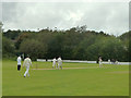 Cricket match at Winstanley