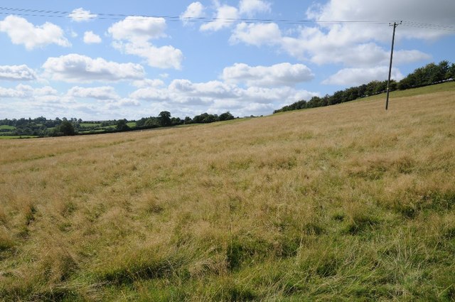 Farmland south of Compton Scorpion Farm © Philip Halling cc-by-sa/2.0 ...