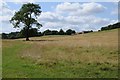 Farmland near Compton Scorpion Farm