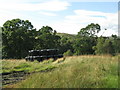 Silage in Glen Einig