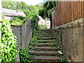 Overgrown steps up to London Road, Brimscombe