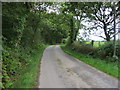 Coed Mynydd Mawr Forest