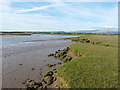 Upstream on the River Irt