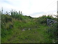 SD0898 : Little-used bridleway towards Bell Hill Farm by Richard Law