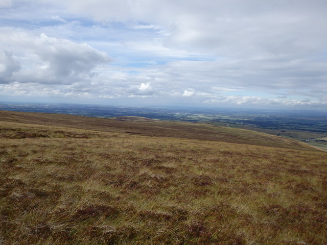 On Cold Fell