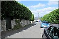 Victoria Road hedges and cars, Brimscombe