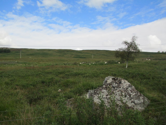 Hillside grazing in Glen Errochty