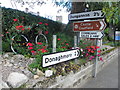 Floral display along the roadside, Castlecaufield