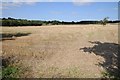 Stubble field near Charingworth