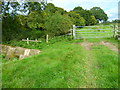 Field boundary by west bank of the Adur