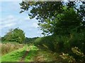 Bridleway going northwards past King