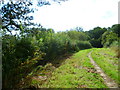 Bridleway going southwards to woodland