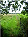 Path going west from Tall Wood to Brownhill