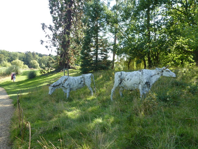 Cows in The Sculpture Garden at Burghley House