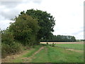 Farm track (footpath) off Heath Road