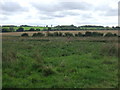 Farmland near Shelland Hall