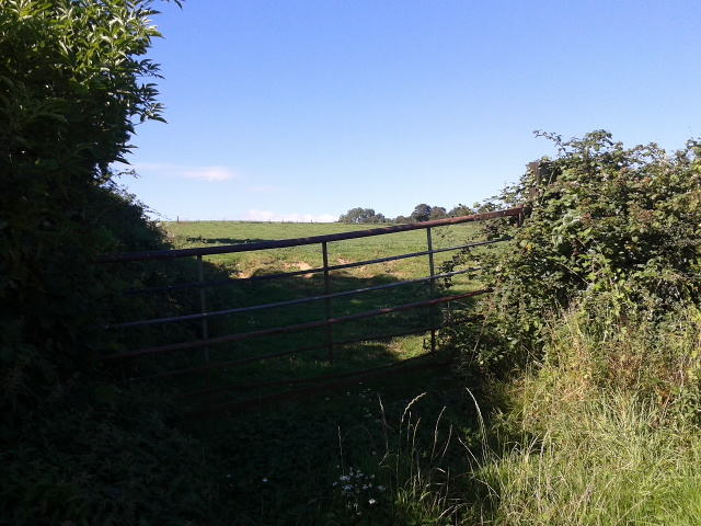 Field entrance at Higher Withial Farm