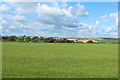 Farmland at Tarbolton