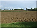 Farmland near Walnut Tree Farm