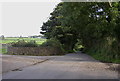 Lane near Glandwr