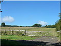 Field opposite Crossways Farm