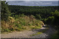 North Devon : Farm Track