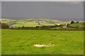 North Devon : Grassy Field