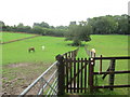 Gated path north-east of Sarratt