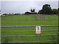 Grazing north of Coddenham Road