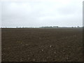 Field near Little Stonham