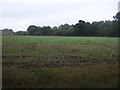 Farmland and woodland, Collingsford Bridge