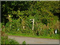 Footpath arrives at Swillage Lane