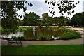 Pond and fountain