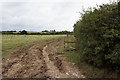 Coastal path towards South Thorness Farm