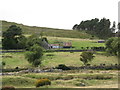 Derelict farmhouse above Sandbank Road