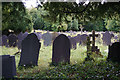 Churchyard of St Tegai, Llandygai