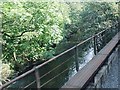 The River Derwent from a Peak Rail train