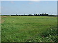 Flat farmland near the Long Eau