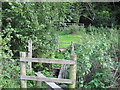 Stiles and footbridge on path from West Burton