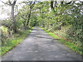 Ffordd i Ynys - Road to Ynys