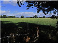 On the S Cheshire Way, E of Clapgates Farm near Haslington